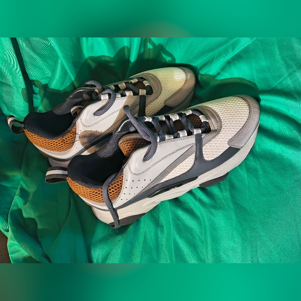 Christian Dior Low Top Designer Sneakers